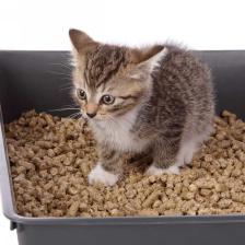 litiere naturelle pour chat