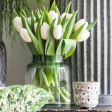 bouquet tulipe