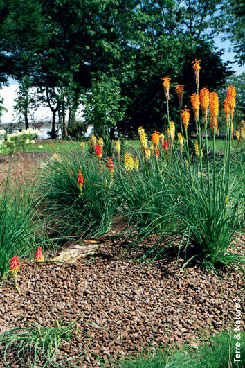 Décoration jardin schiste brut