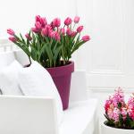 tulipe pot interieur
