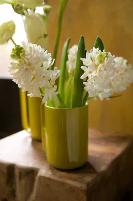 Bouquets de printemps : narcisse, jacinthe et tulipe