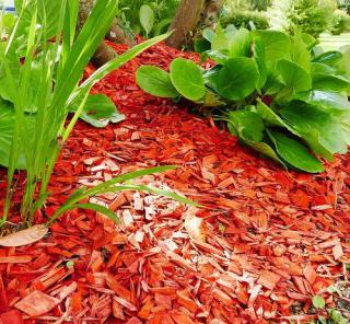 paillage massif fleur