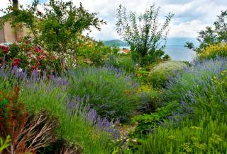 Jardin mediterranéen