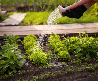 potager au carré enfant