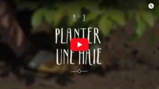 planter haie