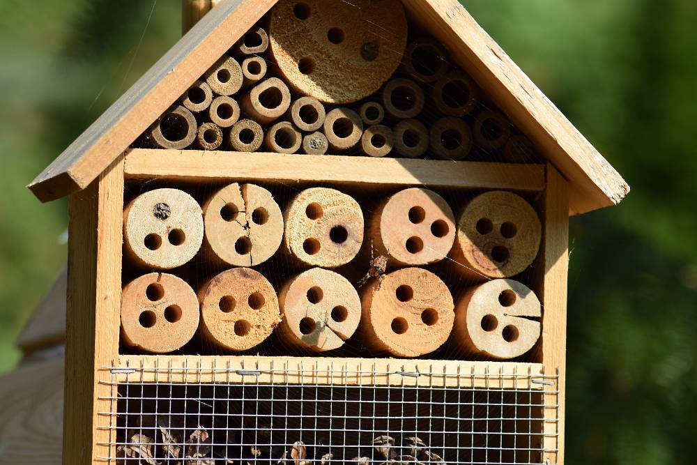 cabane maison insecte attirer jardin animaux
