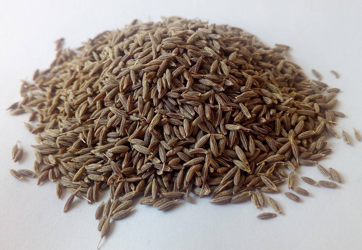 Cumin en graines - MesZépices - Achat, utilisation et recettes