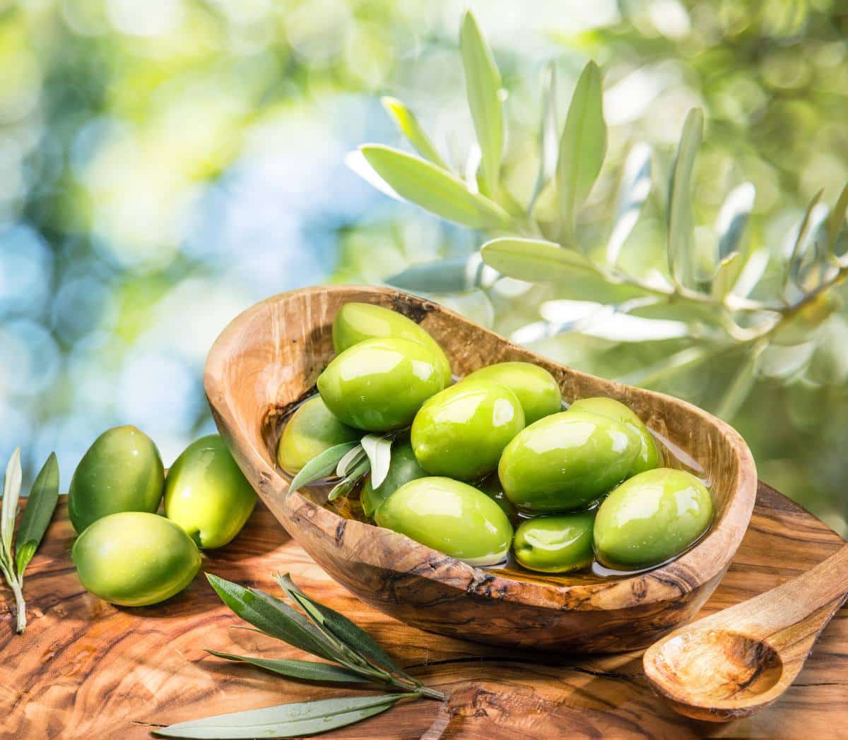 olive picholine