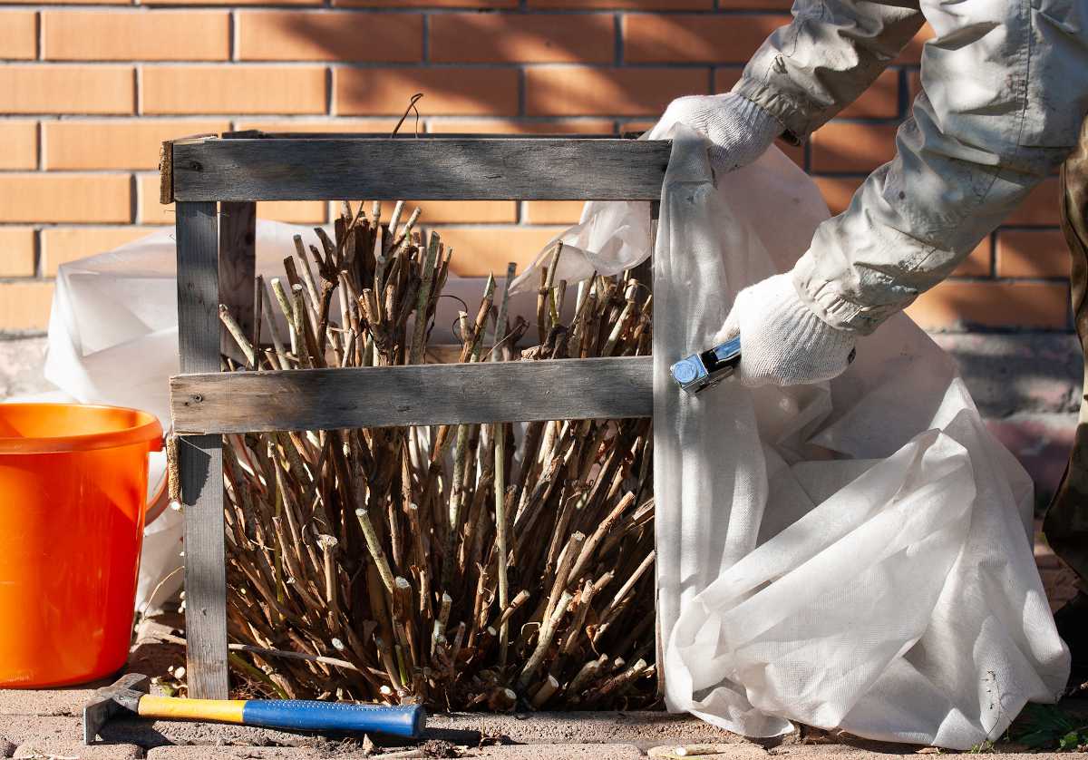 Protection des plantes en hiver face au gel et au froid