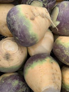 choisir conserver rutabaga