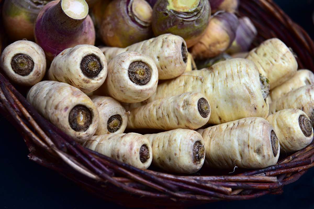 9 légumes anciens à cultiver au potager - Promesse de Fleurs