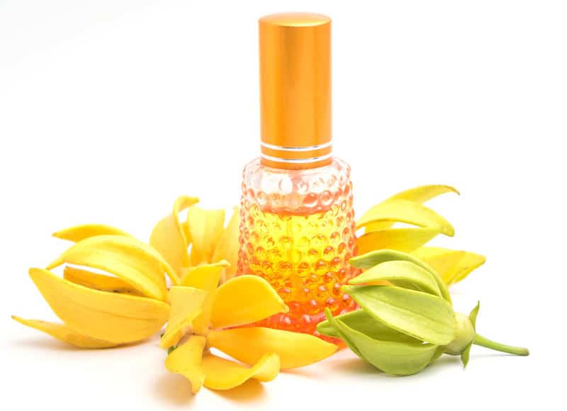 Ylang ylang huile essentielle