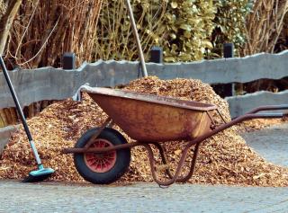 travaux jardinage decembre