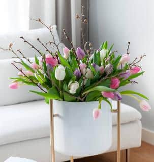 bouquet tulipe