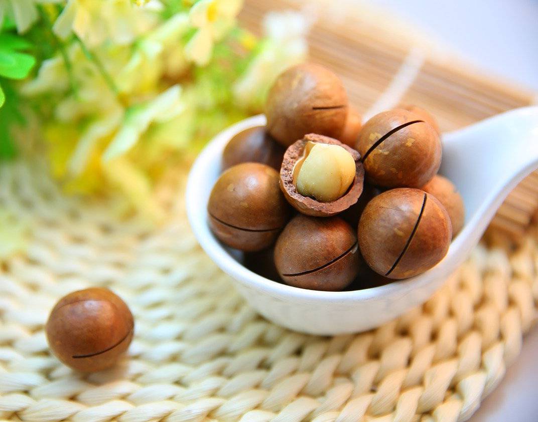 macadamia bienfaits