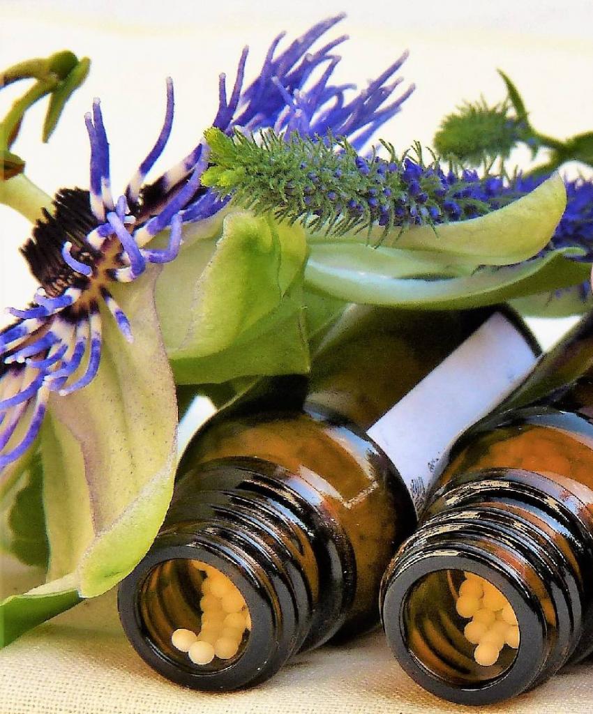 Passiflore-bienfaits - Passiflore : bienfaits et vertus
