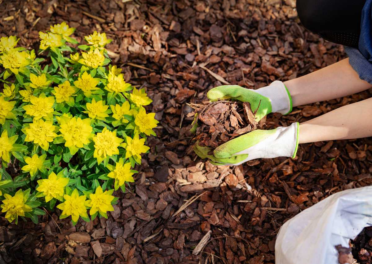 Touches de minéral pour jardin d'exception