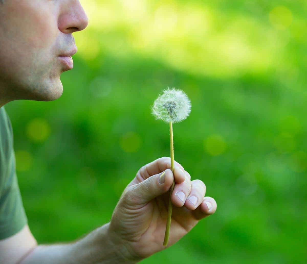 Asthme plantes traitement naturel