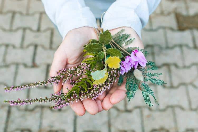 Arts & Crafts : faire un herbier à la maison avec vos enfants — École  Montessori Esclaibes Paris