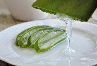 extraire gel Aloe vera