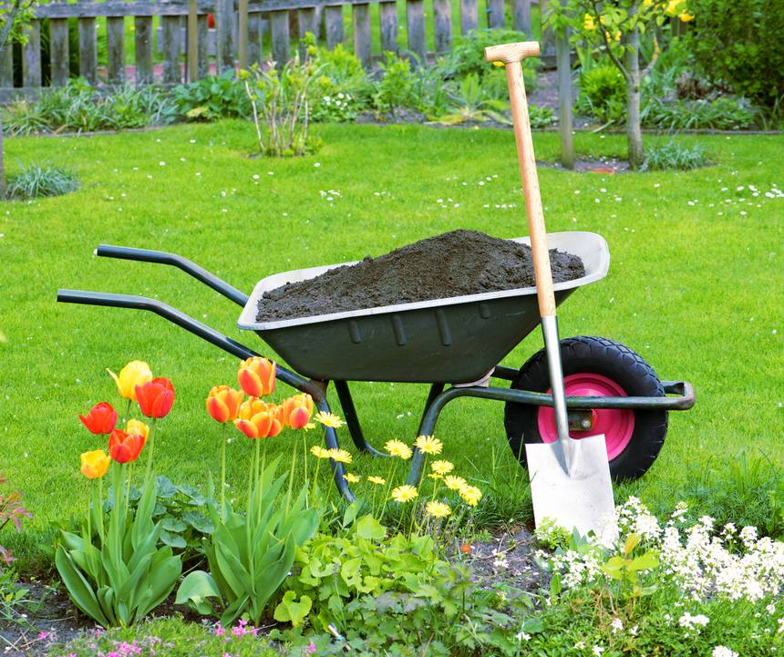 Créer un beau parterre de fleurs ou massif de vivace en 7 étapes simples