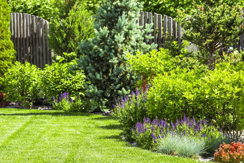 Comment créer un parterre de fleurs, Leaderplant - Apprendre à jardiner