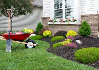 parterre massif differentes formes