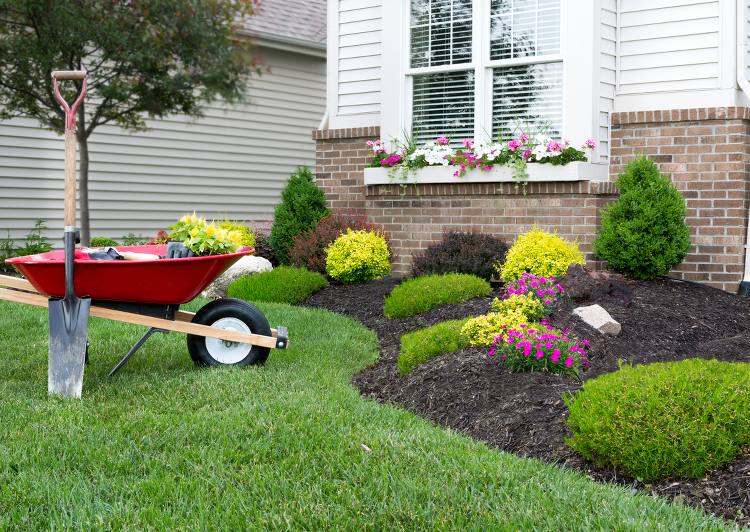 Comment créer un parterre de fleurs, Leaderplant - Apprendre à jardiner