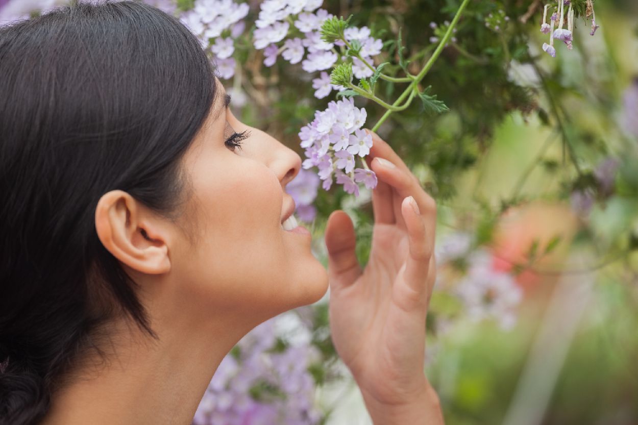 Plantes et fleurs parfumées au jardin