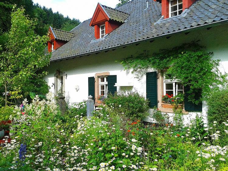 Terrasse aménagée avec parterre de fleurs  Amenagement jardin, Décoration  jardin extérieur, Jardin exterieur