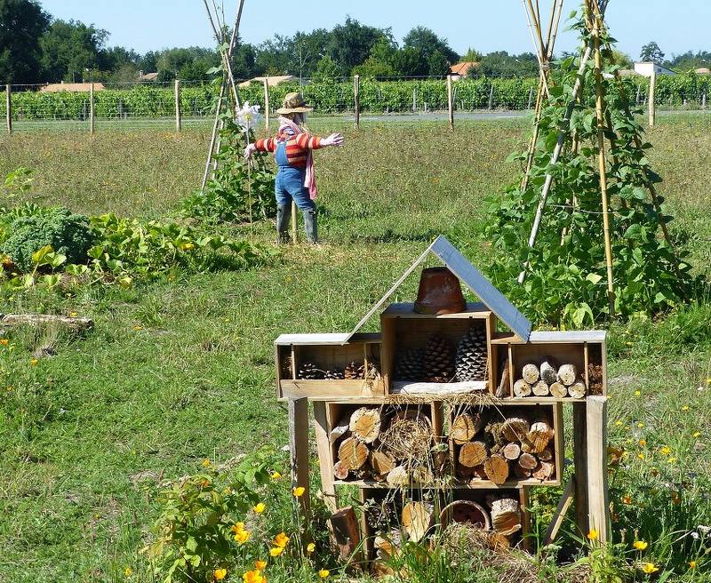 Le jardinage en permaculture : un choix éthique et durable pour un potager  responsable - By Sun Maison