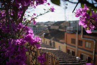 Toit terrasse vue