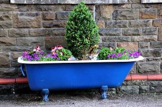 baignoire plantes jardin