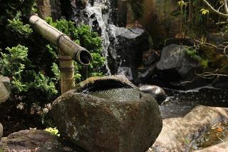 eau dans un jardin japonais