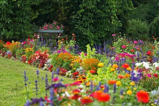 jardin et massif colore