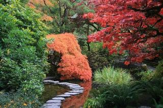 jardin japonais pas et allee