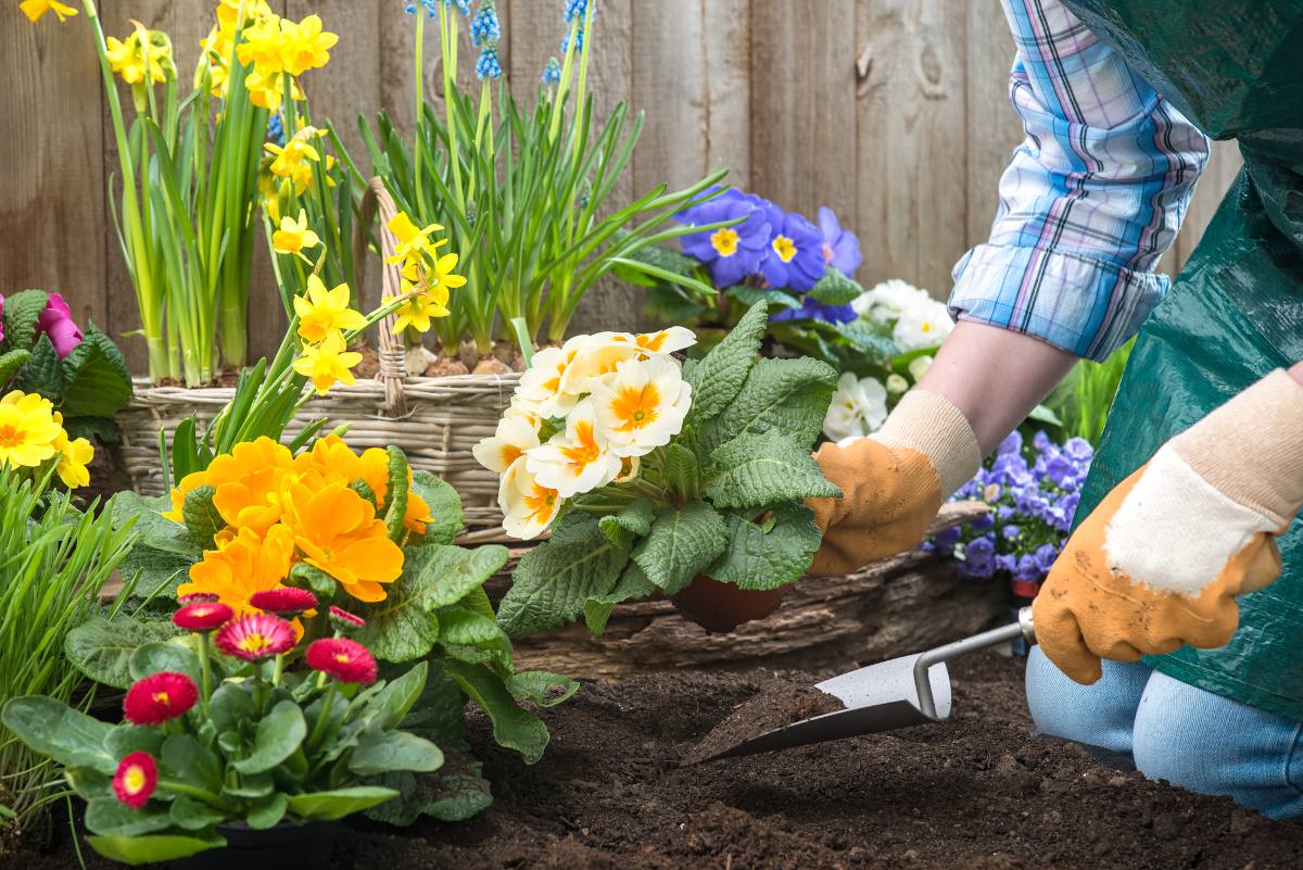 Le jardinage au printemps