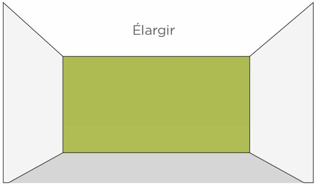 plantes et effet pour elargir cour etroite