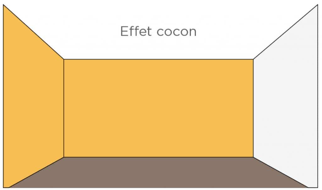 plantes pour effet cocon cour ombre