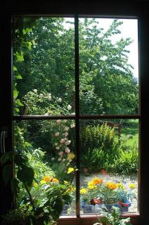 vue sur le jardin