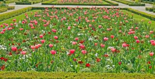 Massif de fleur Jardin a la francaise