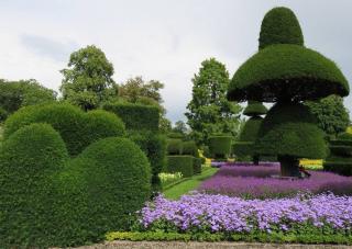 Taille topiaire Jardin a la francaise