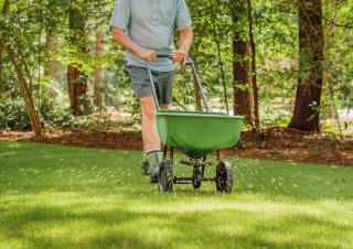 comment faire son gazon - semer pelouse