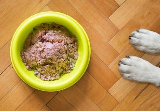 pâté pour chien