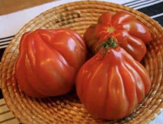 tomate Coeur de Boeuf en cuisine