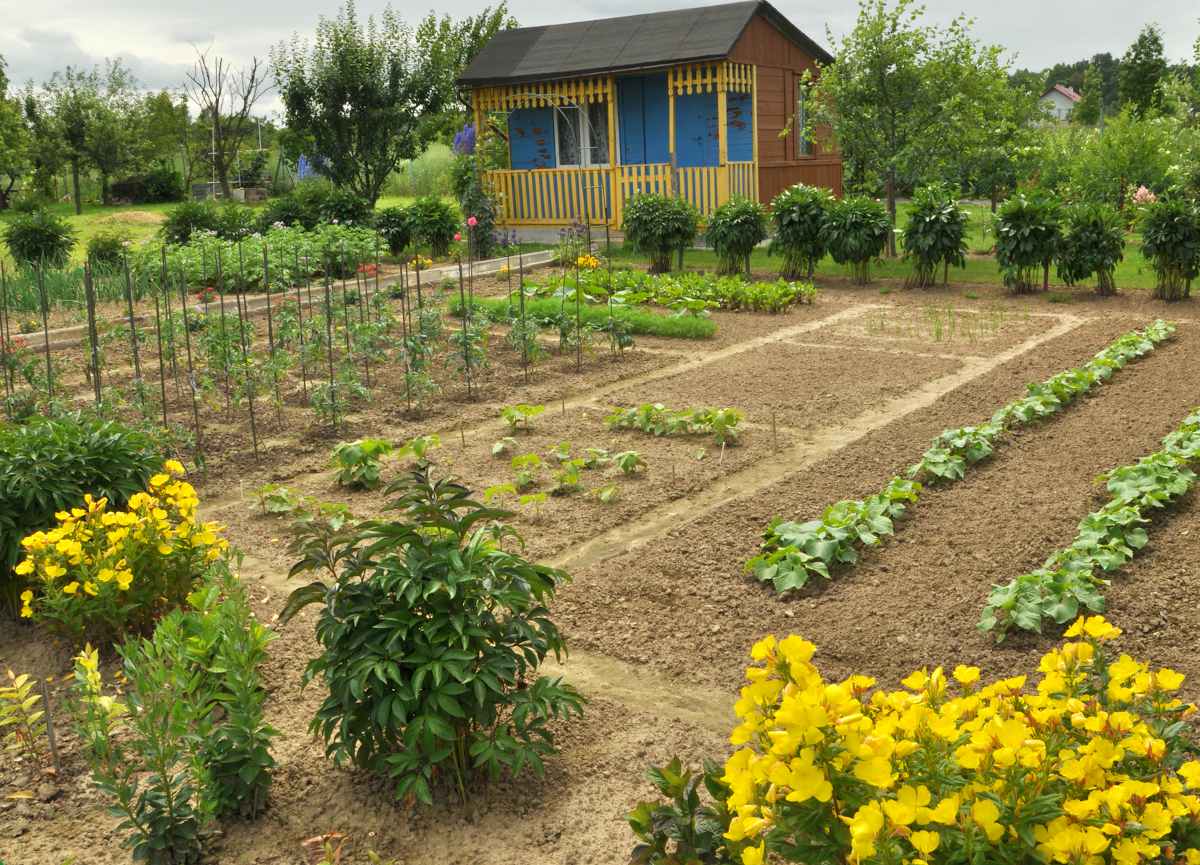 Faire un potager sans traitement