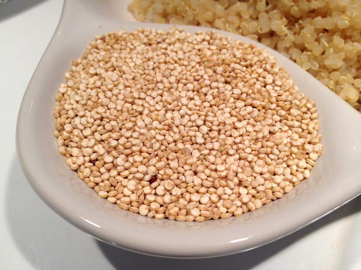 Quinoa : bienfaits, utilisation et vertus pour la santé