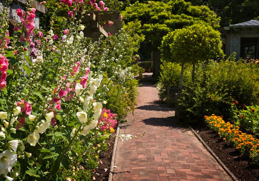 amenager jardin devant maison idee plantation