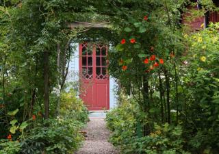 entreee maison avec pergola et plantes grimpantes