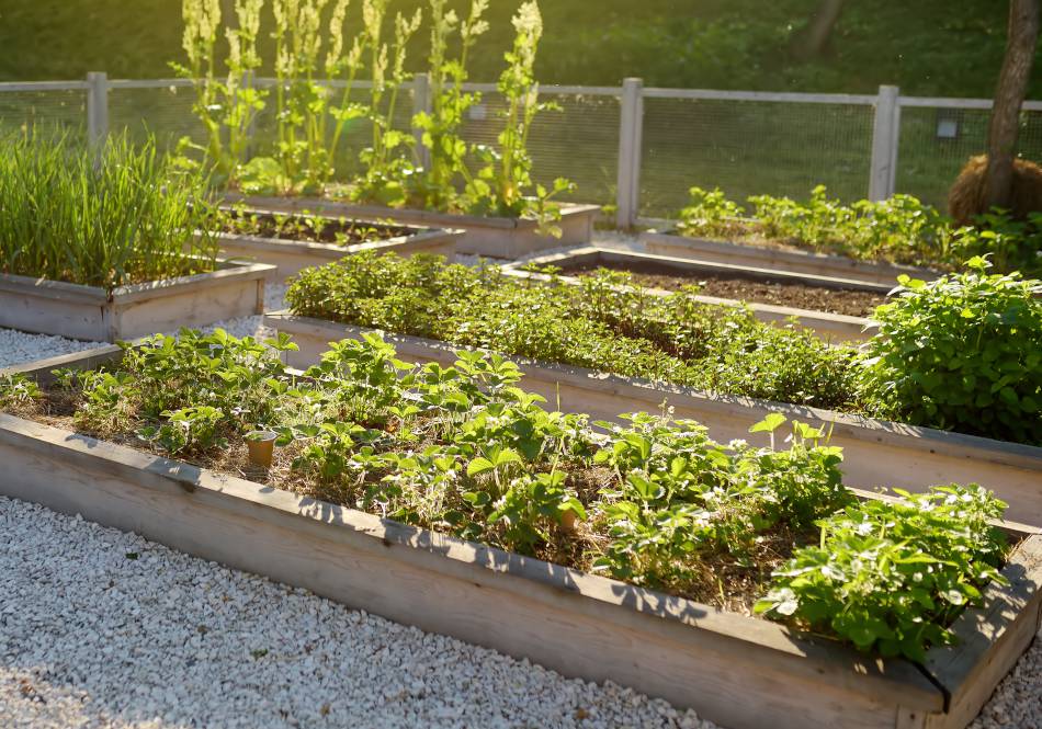 Créer un carré potager sur pieds soi-même